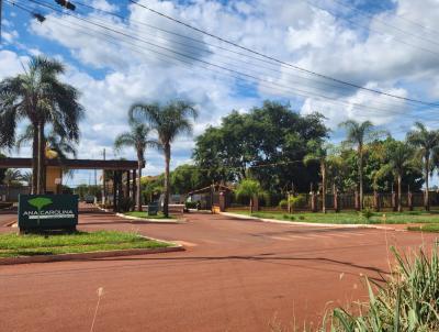 Terreno em Condomnio para Venda, em Cravinhos, bairro Ana Carolina